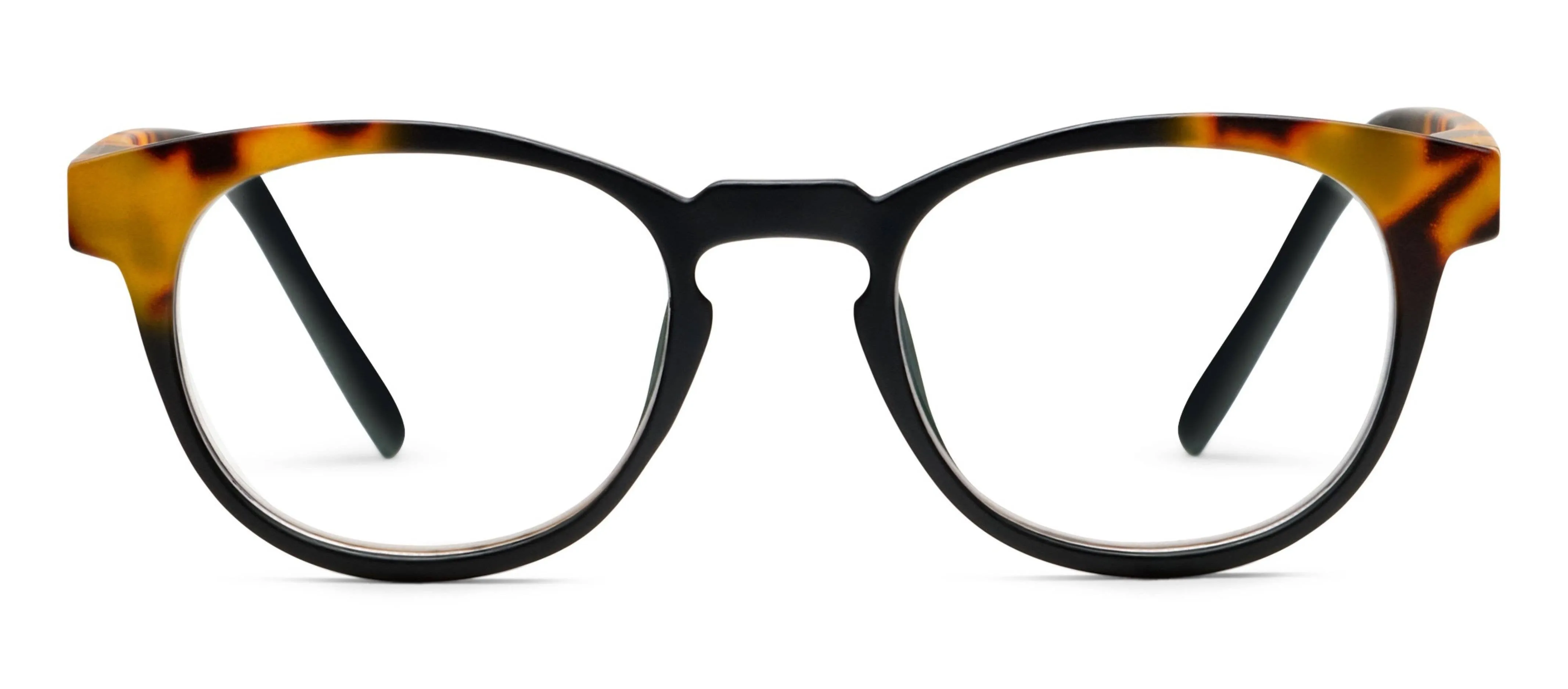 Chester Glasses