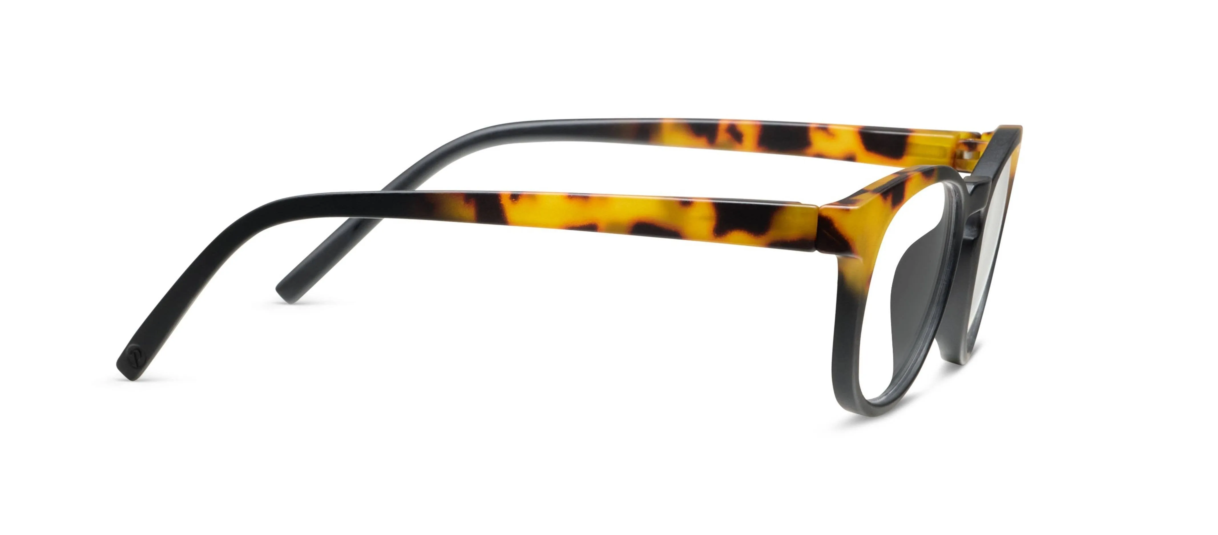 Chester Glasses