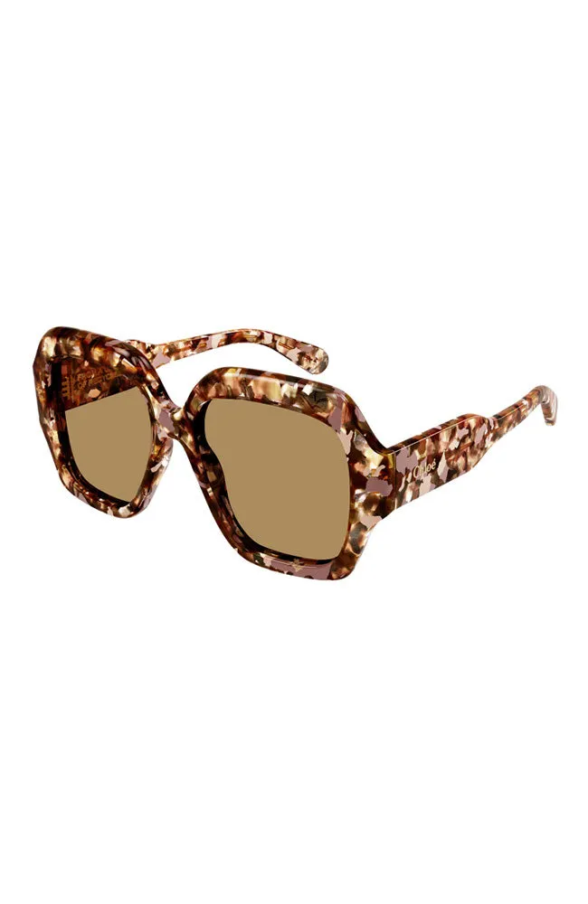 Chloe Blushy Brown Sunglasses