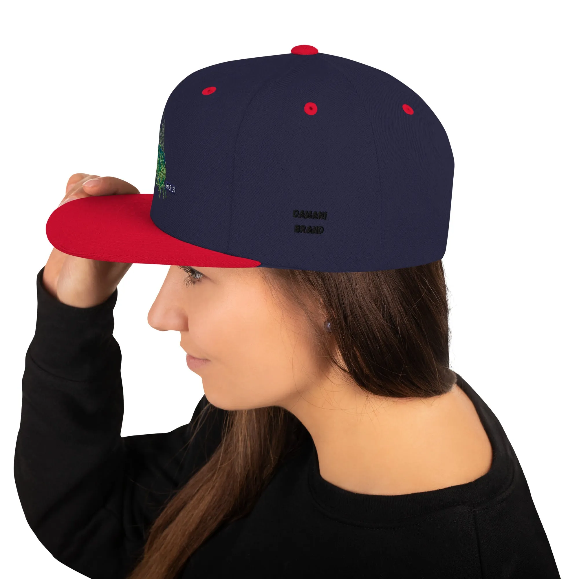 Damani Bee Snapback Hat