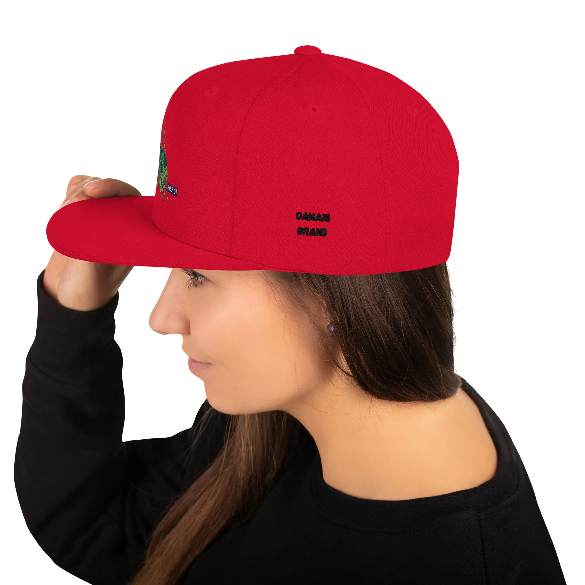 Damani Bee Snapback Hat
