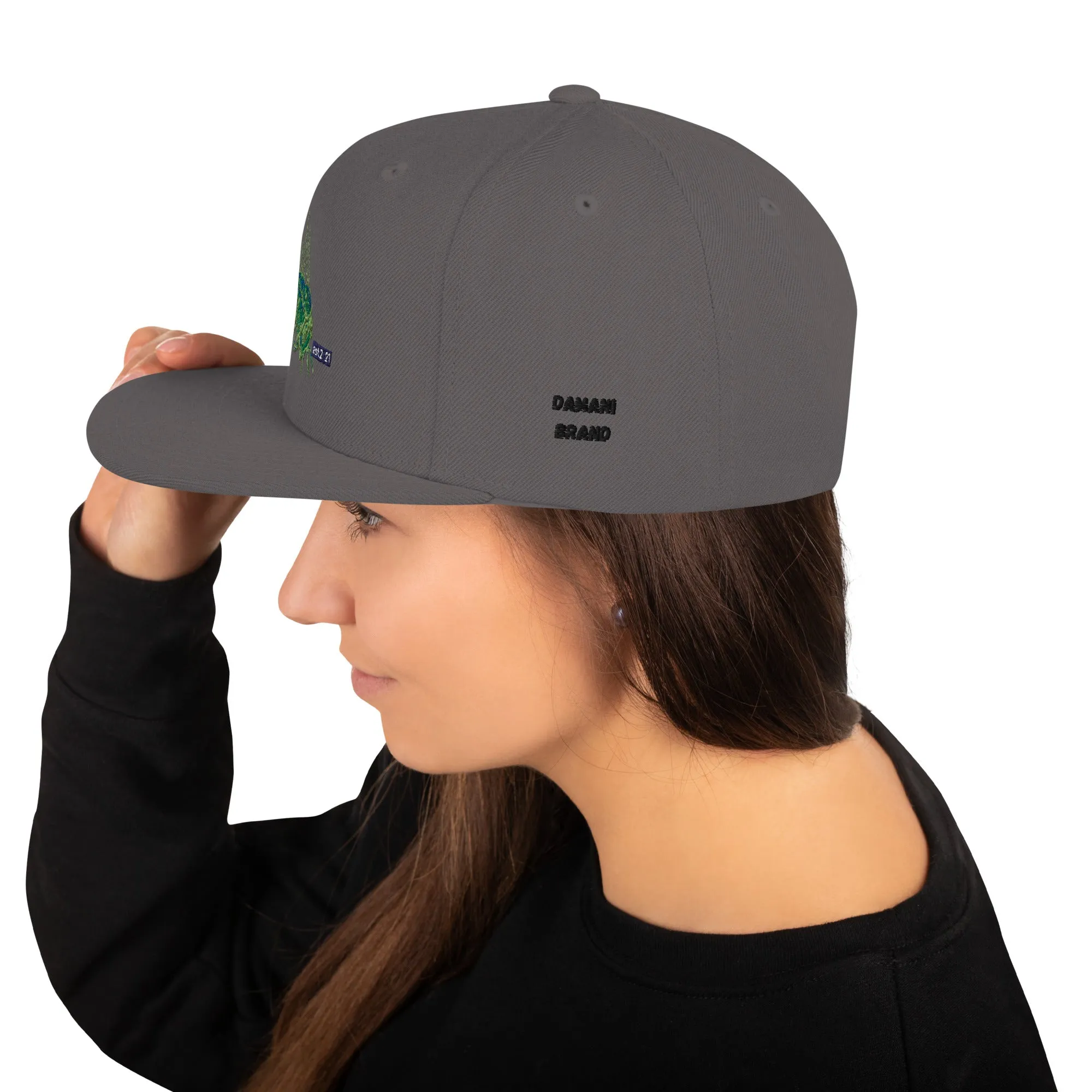 Damani Bee Snapback Hat