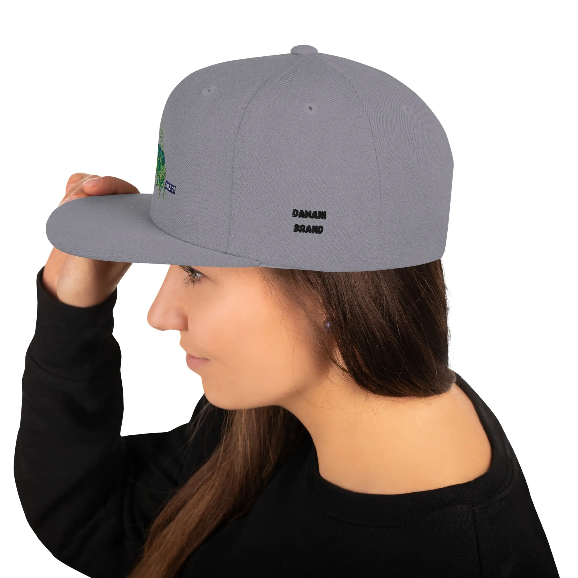 Damani Bee Snapback Hat