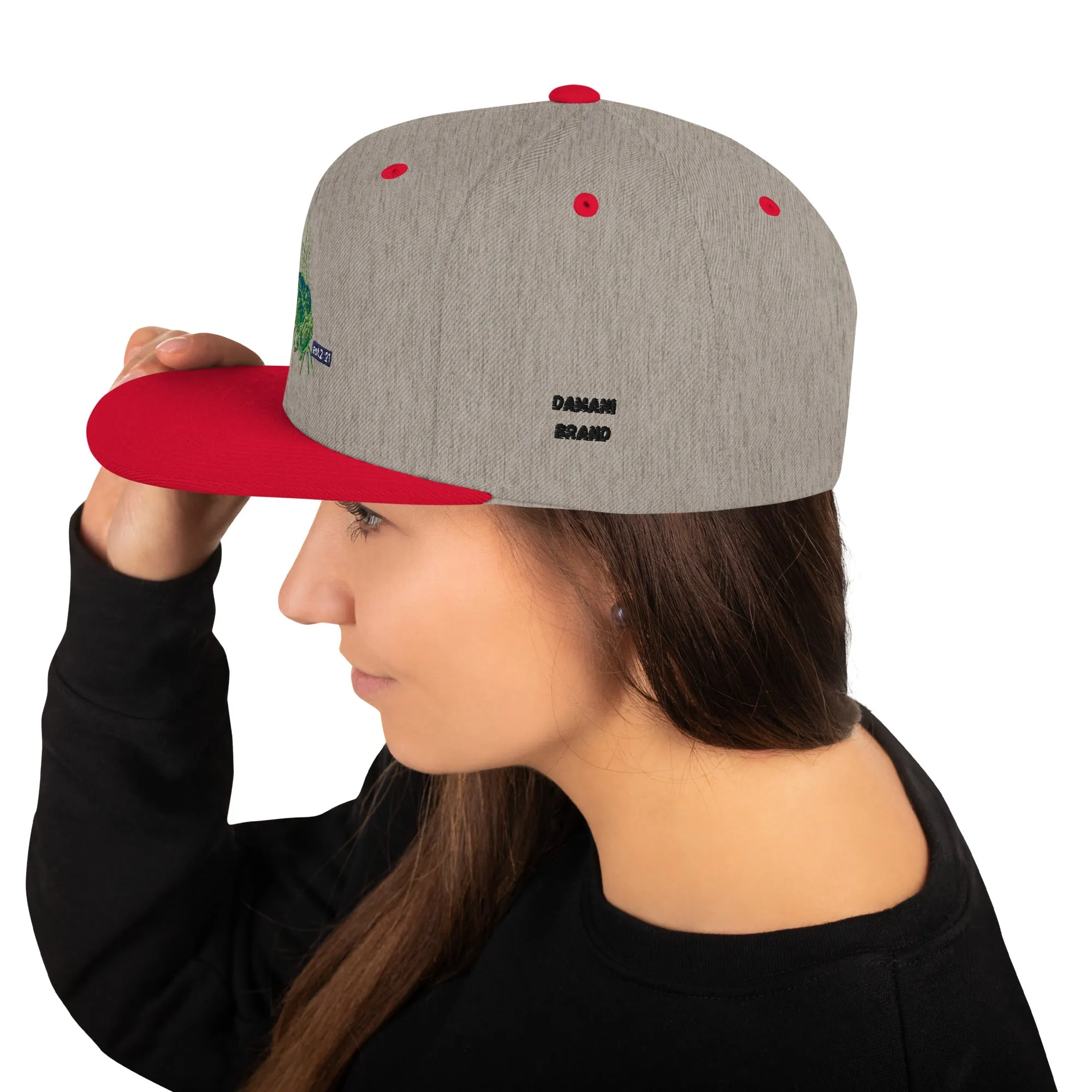 Damani Bee Snapback Hat