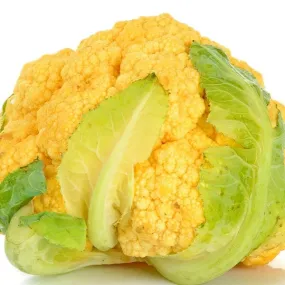 Flame Star Hybrid Cauliflower F1