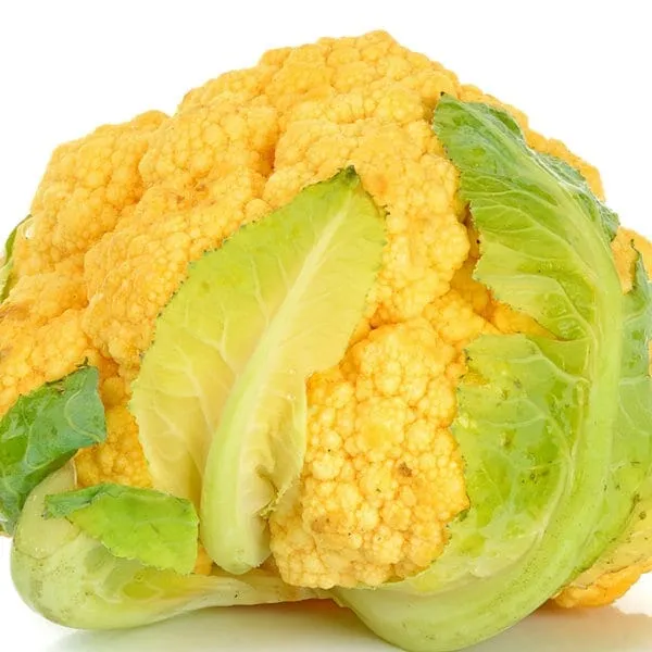 Flame Star Hybrid Cauliflower F1