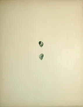 Jean-Gabriel Pretre (fl. 1824-1840) Shell Study 16