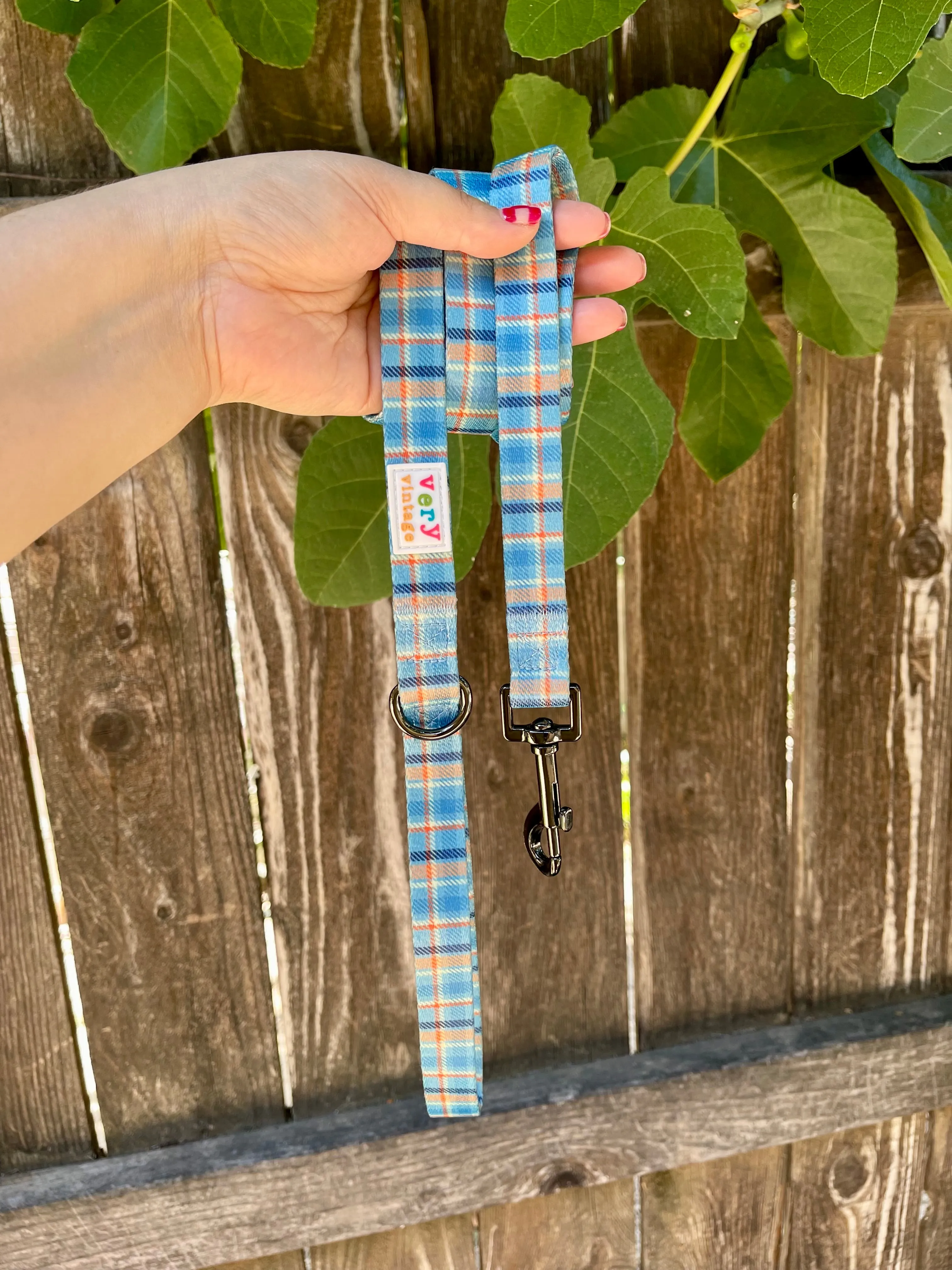 Murphy - Recycled Eco-Friendly 5 ft Leash