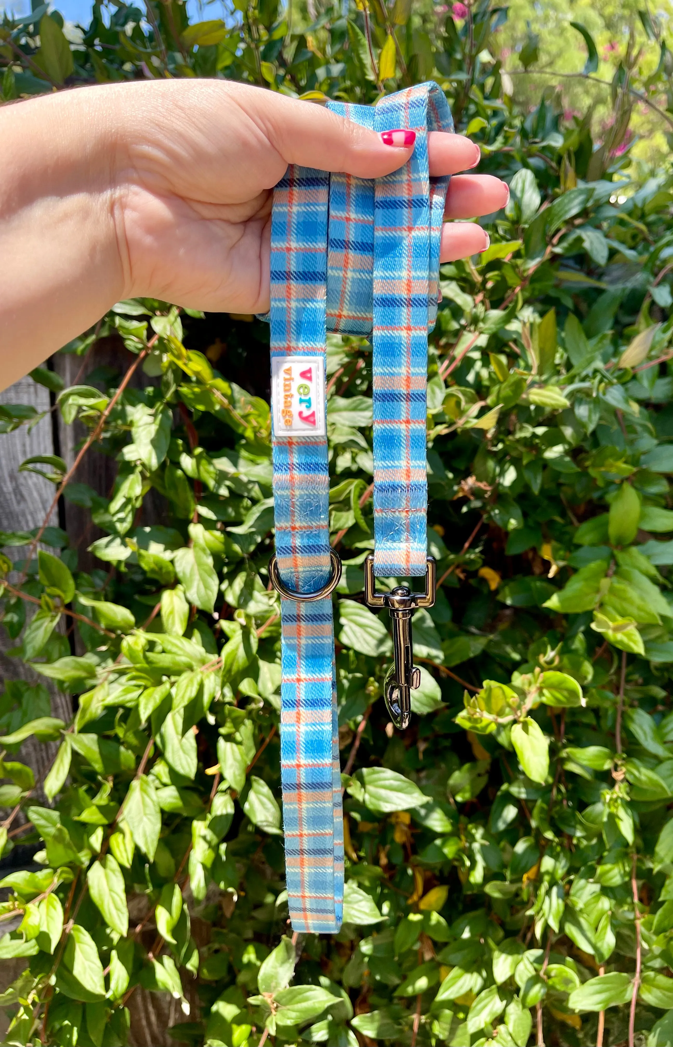 Murphy - Recycled Eco-Friendly 5 ft Leash