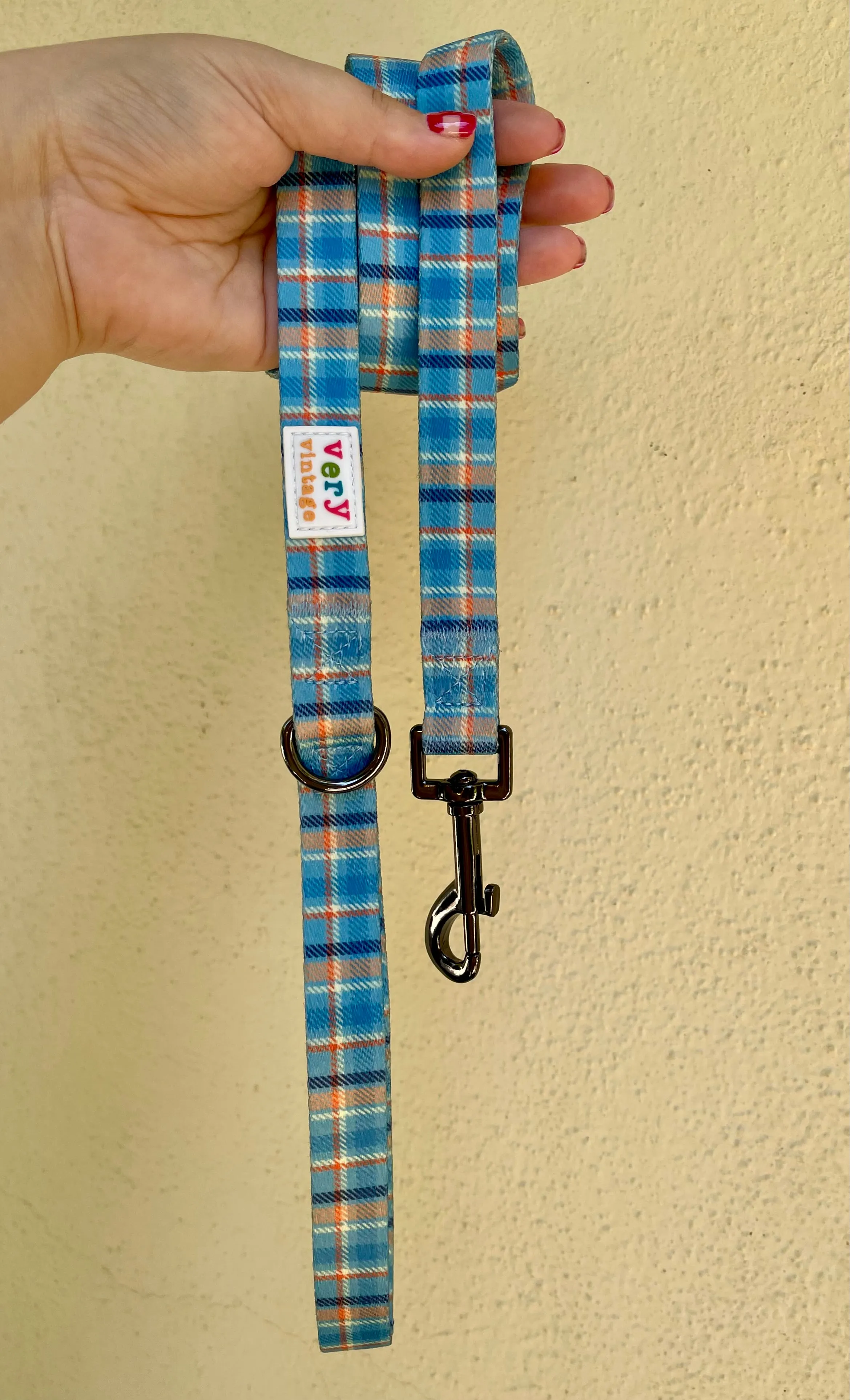 Murphy - Recycled Eco-Friendly 5 ft Leash