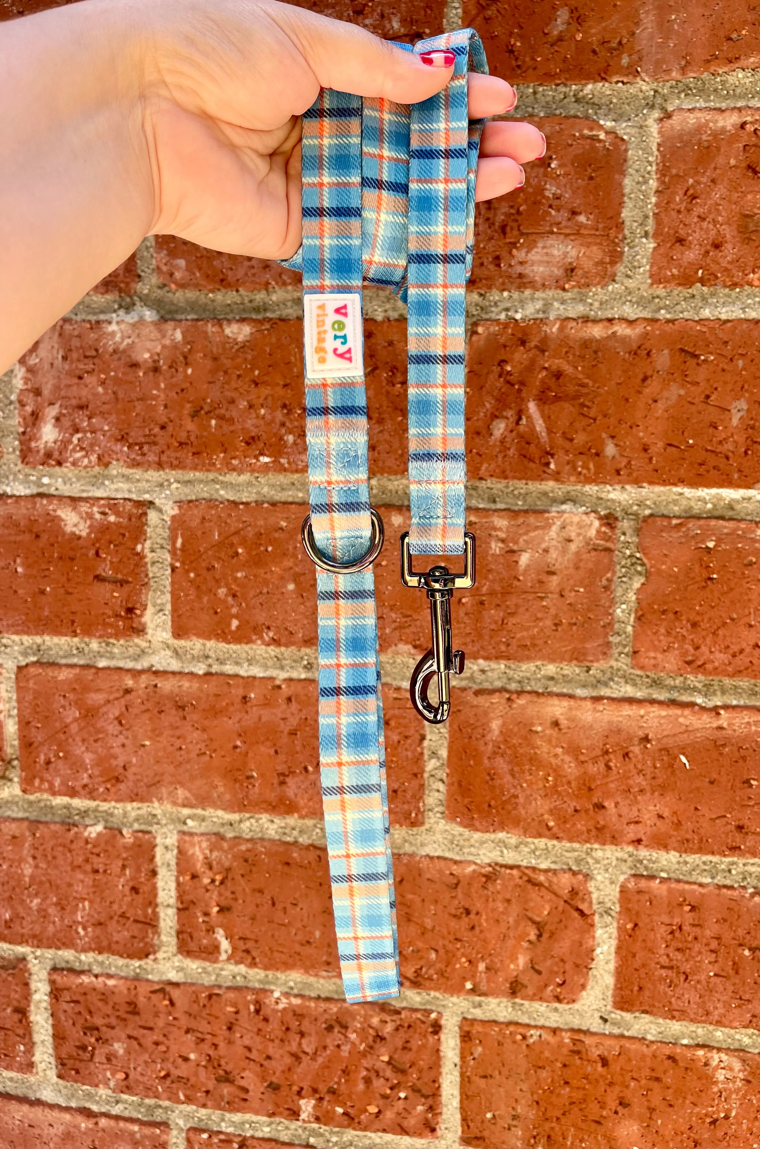 Murphy - Recycled Eco-Friendly 5 ft Leash