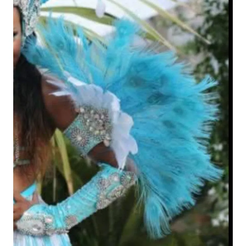 Pavão Encantado