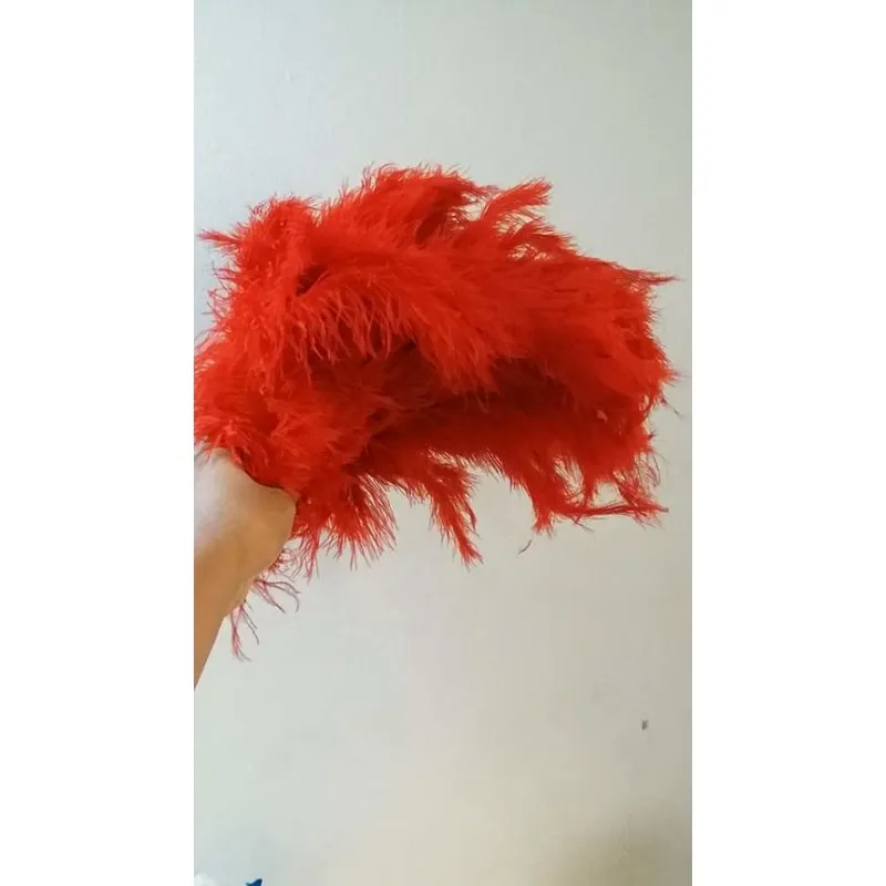 Pavão Encantado