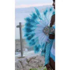 Pavão Encantado