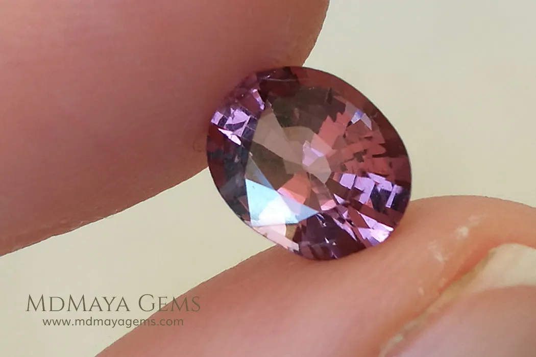 Purple Red Spinel. Oval cut. 1.66 ct.  Beautiful Gem!