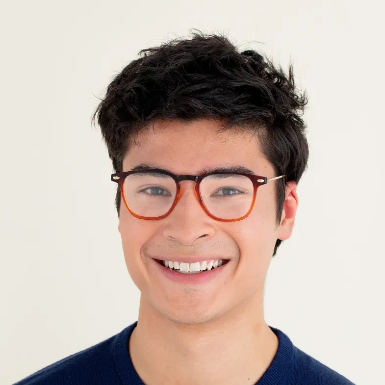Reading Glasses  2.5 Tortoise Bronze Dino with Case Nooz