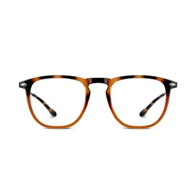 Reading Glasses  3 Tortoise Bronze Dino with Case Nooz