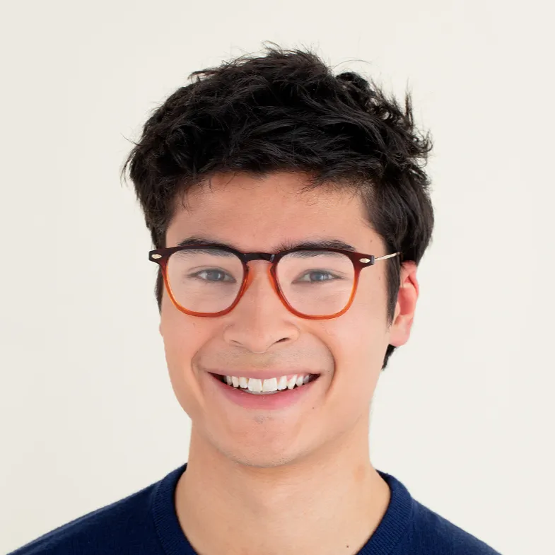 Reading Glasses  3 Tortoise Bronze Dino with Case Nooz