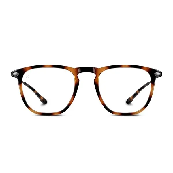 Reading Glasses  3 Tortoise Dino Nooz Essentials