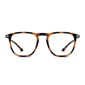 Reading Glasses  3 Tortoise Dino Nooz Essentials