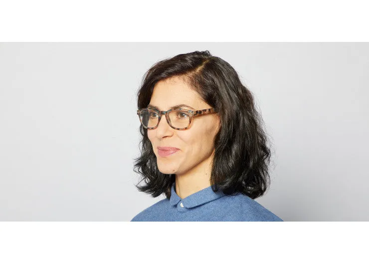 READING GLASSES #B BLUE TORTOISE