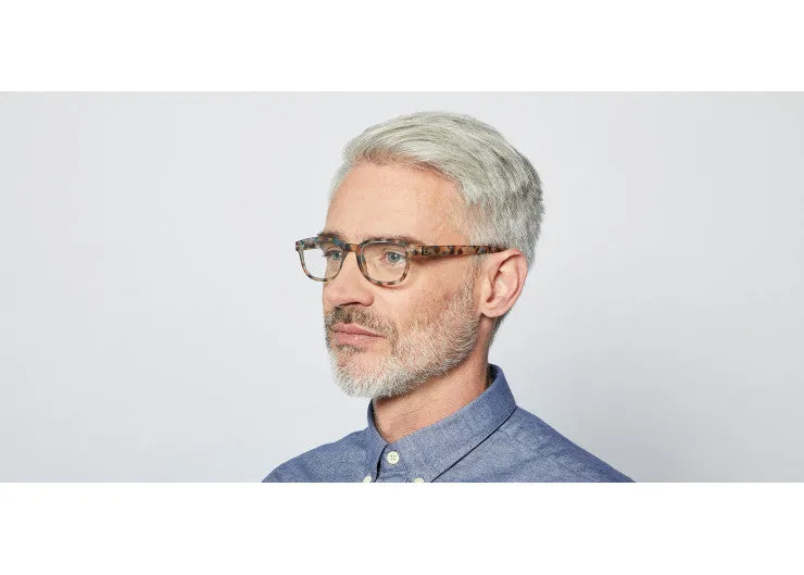 READING GLASSES #B BLUE TORTOISE