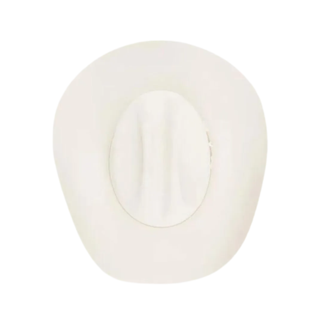 Stetson Men's 6X Skyline Silverbelly Felt Hat