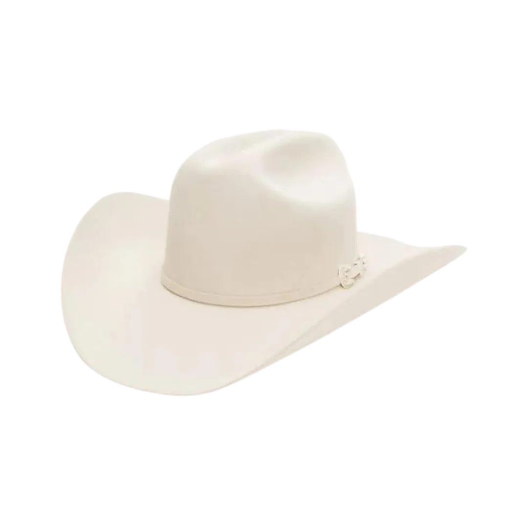 Stetson Men's 6X Skyline Silverbelly Felt Hat
