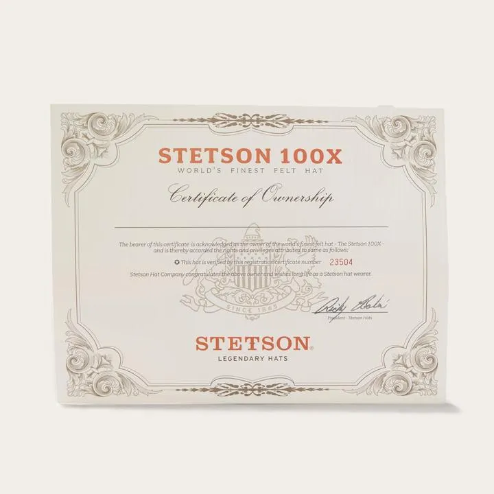 Stetson Men's El Presidente 100X Silverbelly Felt Hat Hatco